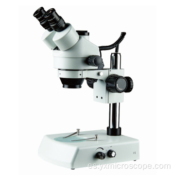 Microscopio estéreo trinocular 7x-45X con lámpara de halógeno inferior